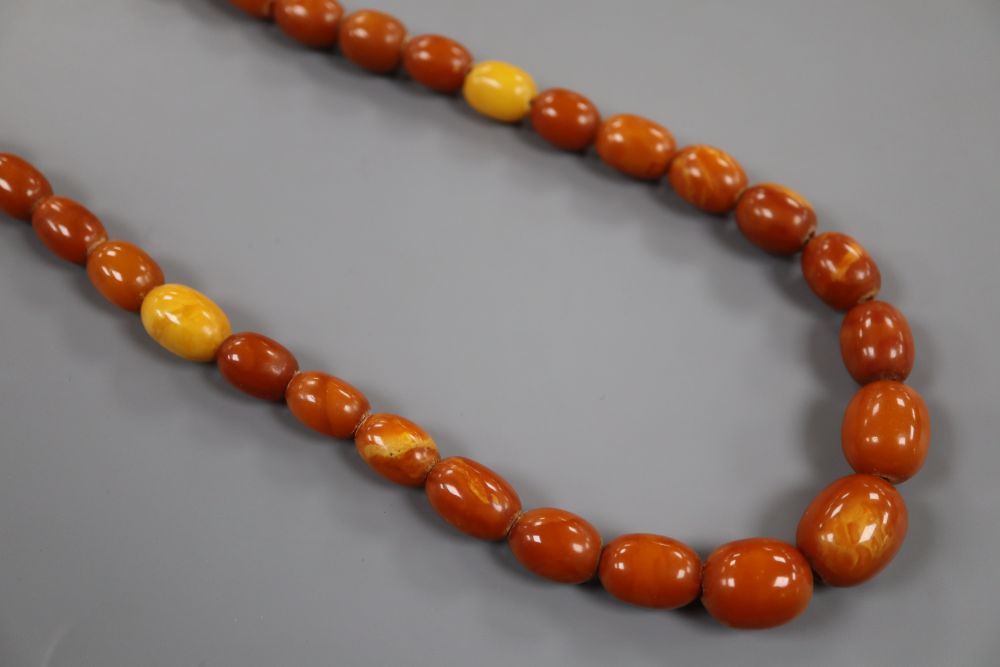 A single strand graduated oval amber bead necklace, 61cm, gross 39 grams.